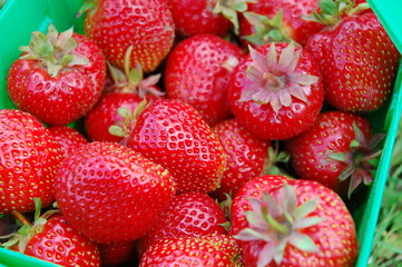 Strawberry Fruits