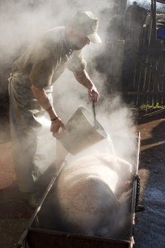 Getting pork meat ready for cutting in pieces and smoking