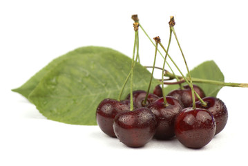 Wet Cherries and Leafs