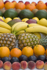 Tropical fruit lineup on white background