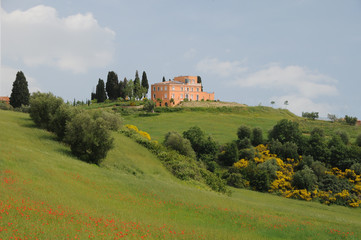 Toskama Toscana Weingut Zypressen  Mohn Urlaub relaxen