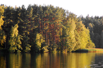 forest lake