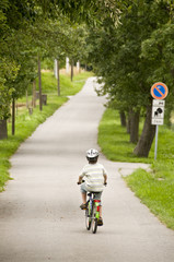 boy bicycling up tree lined road