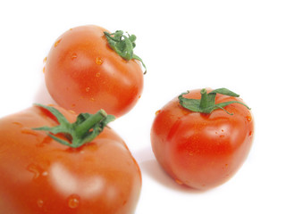 Tomato group