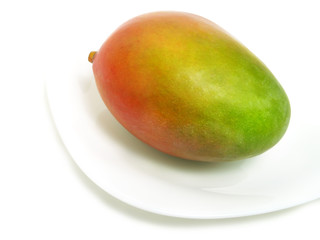 Single mango on plate
