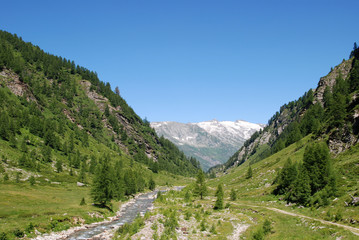 Fototapeta na wymiar High mountain valley, river, blue sky, Ticino, Switzerland