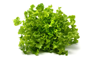 green lettuce