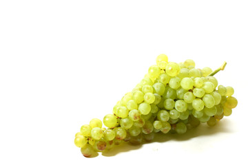 isolated grape