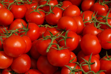 Tomaten in Cavaliere