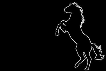 Fototapeta premium Cavallo Rampante