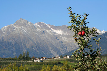 Berglandschaft in S&uuml;dtirol,Italien