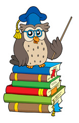 Obraz premium Owl teacher and books