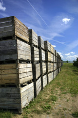 entreposage agroalimentaire