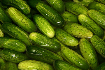 Cucumbers