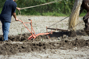 Agriculture et métier : charrue de labour