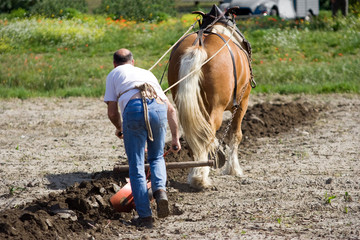 Agriculture et métier : paysan et cheval de trait au labours