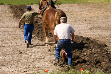 Agriculture et métier : paysan et cheval de trait au labours