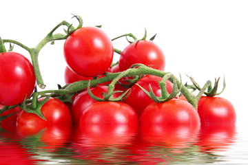 pomodori