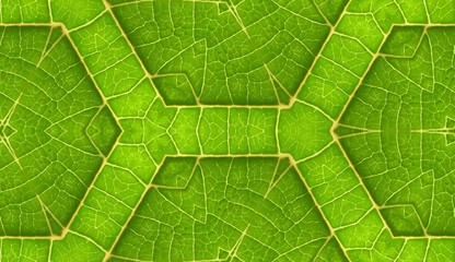 Underside Of Green Leaf Seamless Tile Background 5