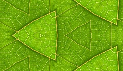Underside Of Green Leaf Seamless Tile Background 8