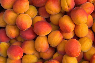 Fresh Apricots in the Market