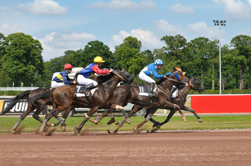 Chevaux de course