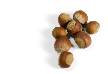 hazelnuts