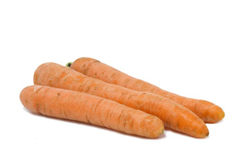 Carrot over the white