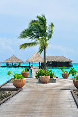 Maldives, Welcome to Paradise!