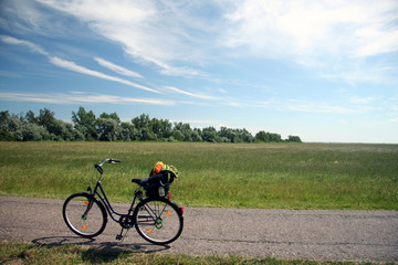 Internationaler Ostseeradwanderweg, nahe Prerow