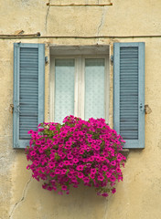 Fototapeta na wymiar Stare okna z okiennicami i pudełko okno z kwiatami