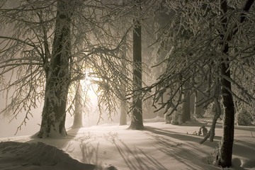Snowy landscape with lantern in the background