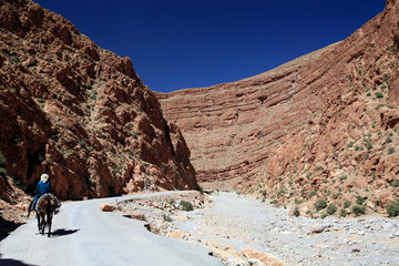 Gorge du todra