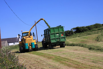 Collecting the Silage in a field on Angelsey