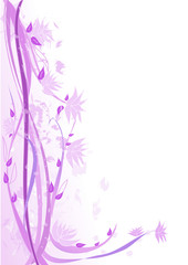 Fototapeta na wymiar decorazione floreale lilla