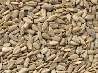 Sunflower seeds