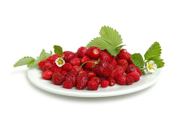 Wild strawberries