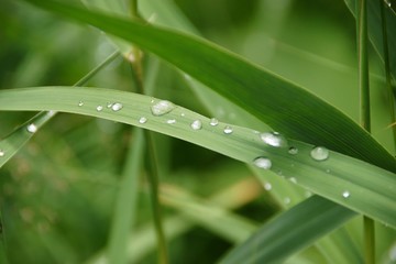 Wassertropfen