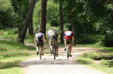 Fototapeta premium groupe en vélo dans la forêt