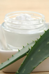 aloe cream