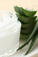 aloe cream