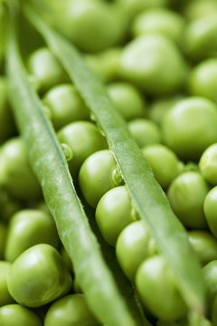 Close up of garden peas