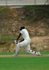Stock Photo of a batsman
