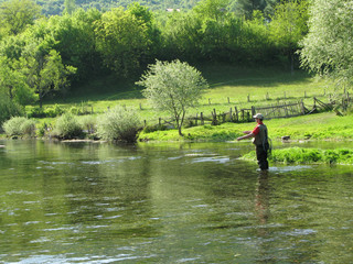 Fly-fishing on Ribnik