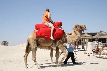 Kussenhoes Balade à dos de chameau © Stéphane Masclaux