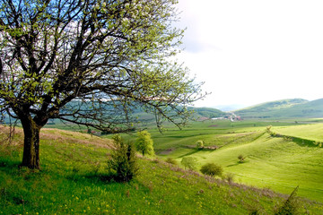 Spring landscape with pieces of cultivated farmland and trees