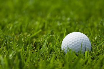 white golf ball on fairway close up