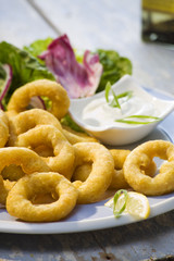 deep-fried breaded squid close up