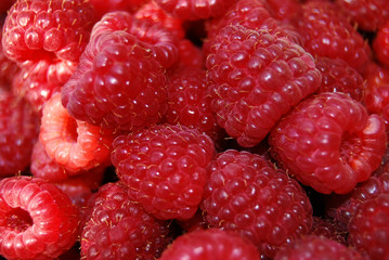 himbeeren