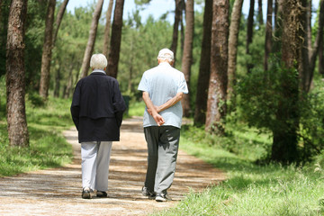 couples de retraités entrain de se promener dans la forêt